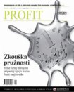 profit_cz_2