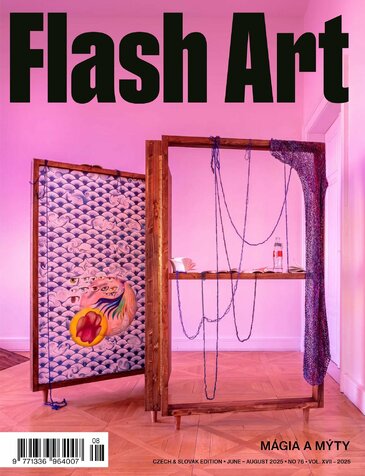 FLASH ART