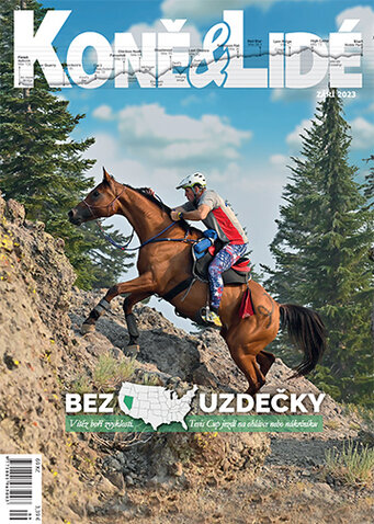 Koně a lidé