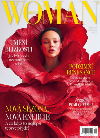 PERFECT WOMAN
