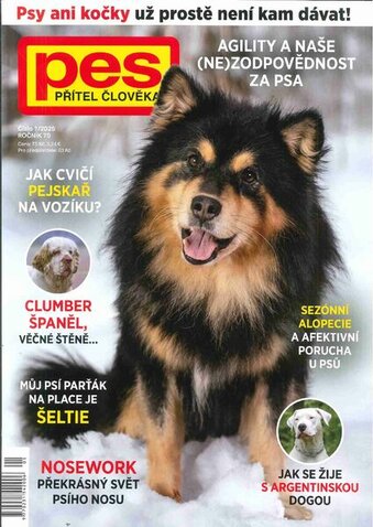 PES PŘÍTEL ČLOVĚKA