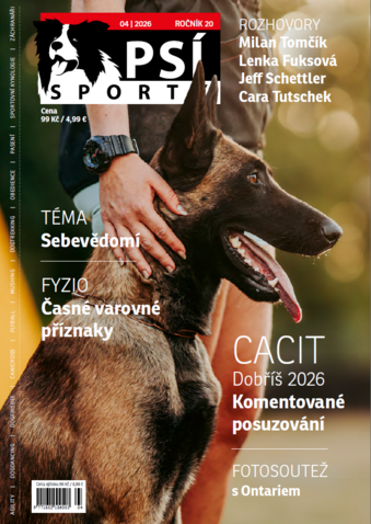 PSÍ SPORTY