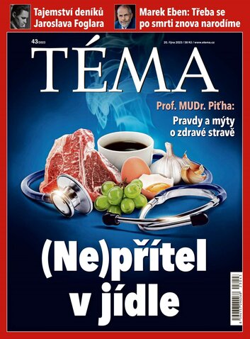 TÉMA CZ