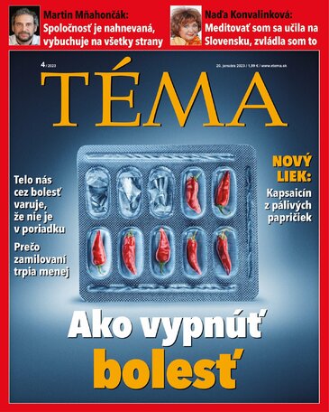 TÉMA/slovenská