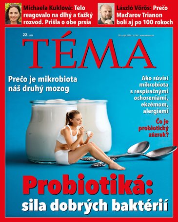 TÉMA/slovenská