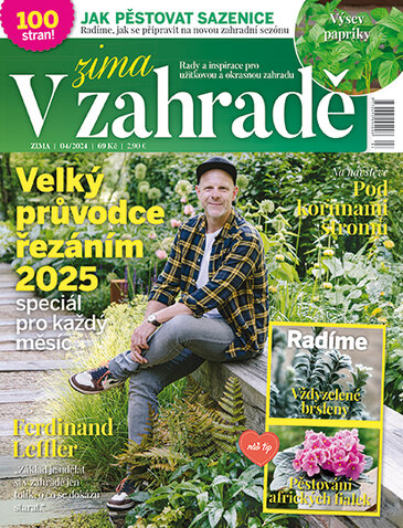 V ZAHRADĚ