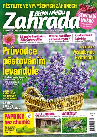 ZAHRADA PRÍMA NÁPADŮ