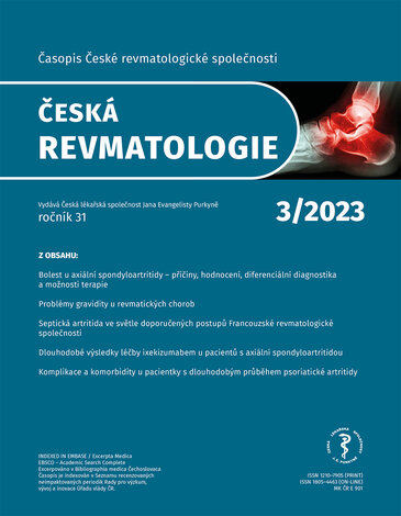 Česká revmatologie