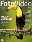 FV05_web2