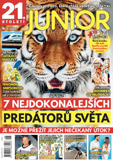 21.STOLETI - JUNIOR