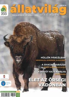 állatvilág MAGAZIN