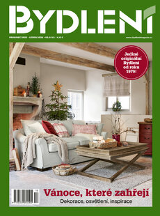 BYDLENÍ