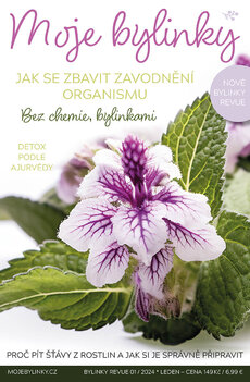 MOJE BYLINKY/BYLINKY REVUE 