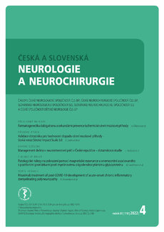 ČS Neurologie a neurochirurgie 