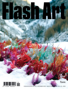 FLASH ART