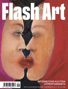 FLASH ART