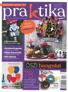 HÁZI PRAKTIKA