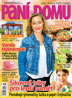 PANÍ DOMU