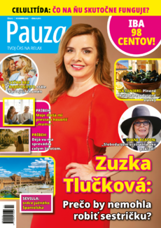 PAUZA