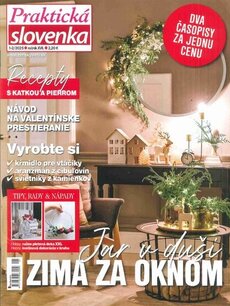 PRAKTICKÁ SLOVENKA