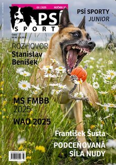 PSÍ SPORTY