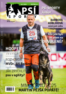 PSÍ SPORTY