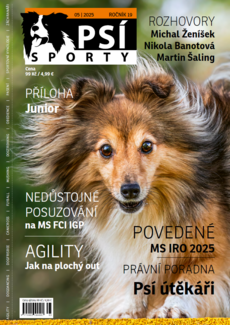 PSÍ SPORTY