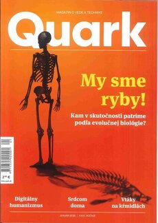 Quark