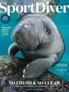 Sport Diver