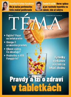 TÉMA SK