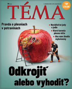 TÉMA SK