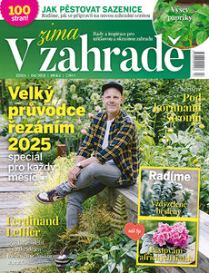 V ZAHRADĚ