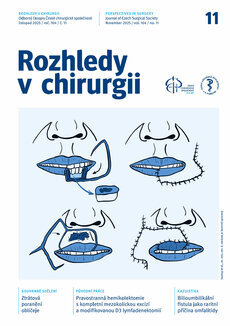 ROZHLEDY V CHIRURGII