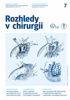 ROZHLEDY V CHIRURGII