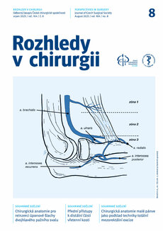 ROZHLEDY V CHIRURGII